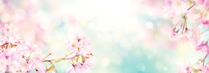 Thumb Image