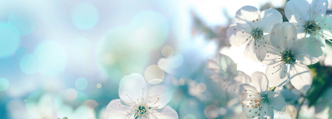Thumb Image